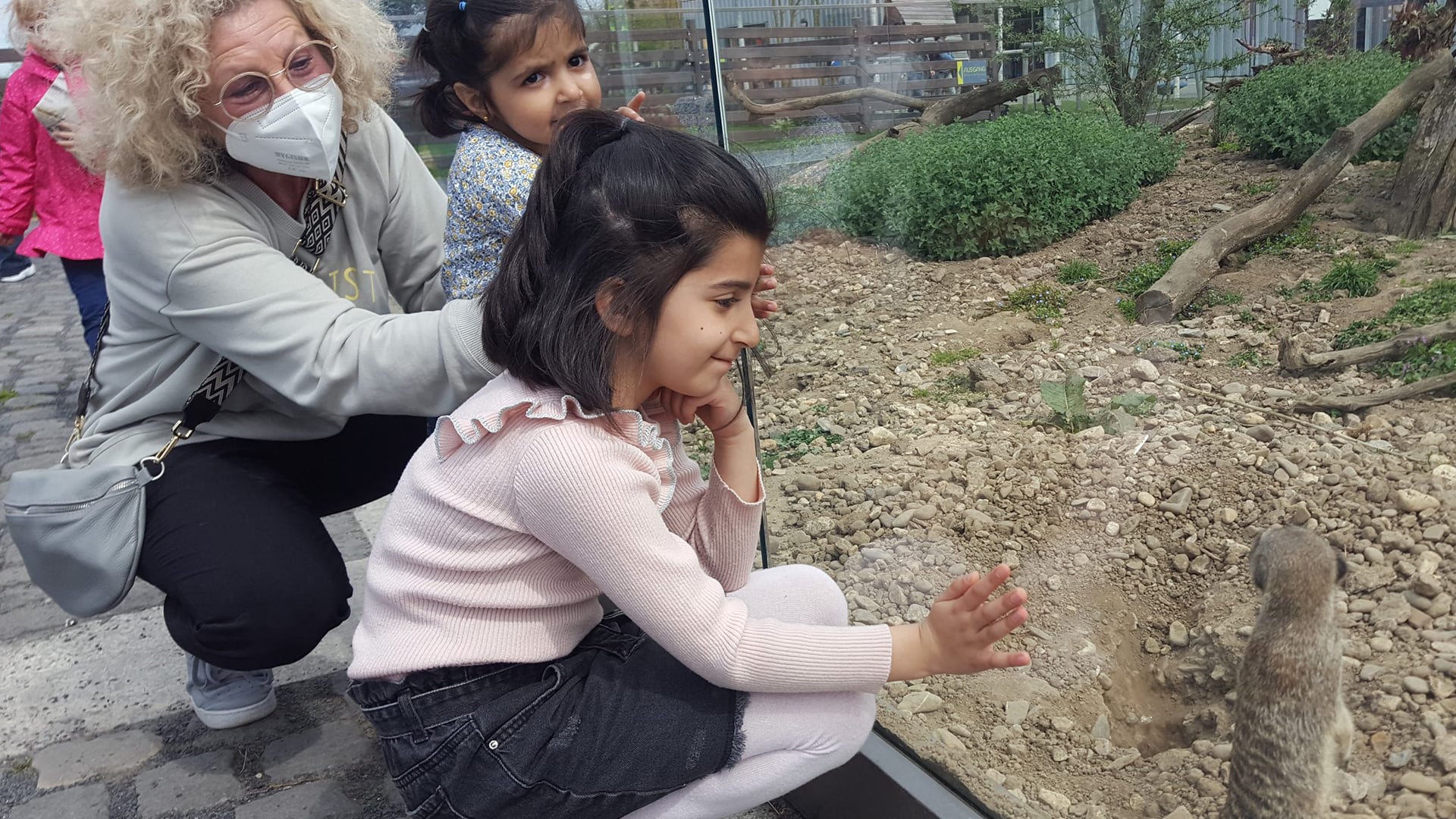 Förderverein zugunsten krebskranker Kinder Krefeld e.V. - Milestone ...